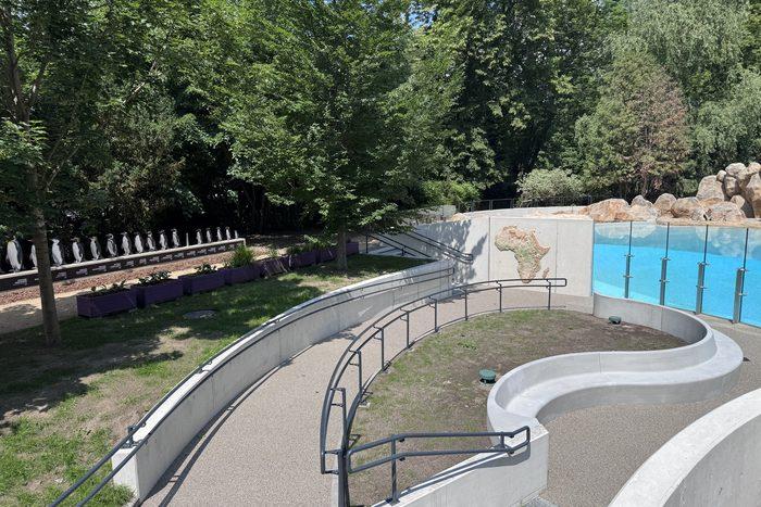 Pawilon Pingwinów – MO Zoologiczny im. Antoniny i Jana Żabińskich – zdjęcie 2